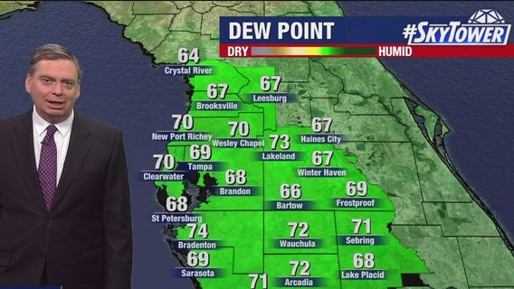 Tampa weather | Warm Monday afternoon