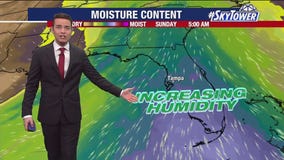 Tampa weather | Increasing humidity