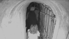 Video shows Hamas leader in tunnel