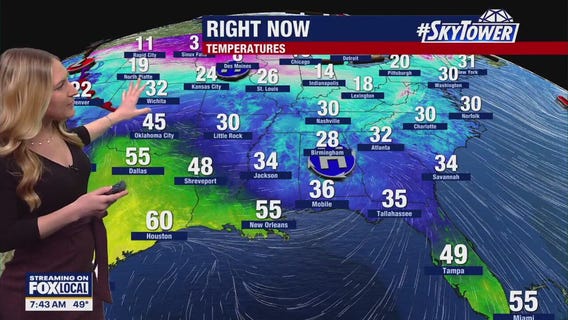 Tampa weather | Blue skies but a bit chilly