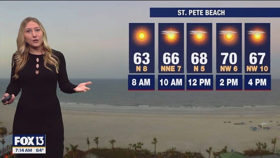 Tampa weather | Sunny and comfortable temps