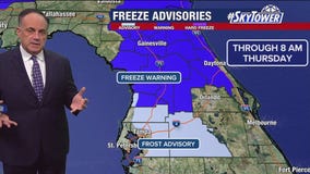 Tampa weather | cold weather continues