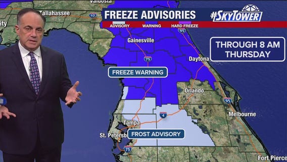 Tampa weather | cold weather continues