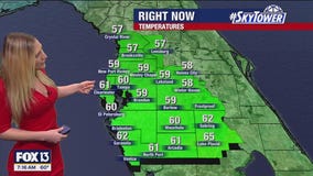 Tampa weather | Rain possible Saturday