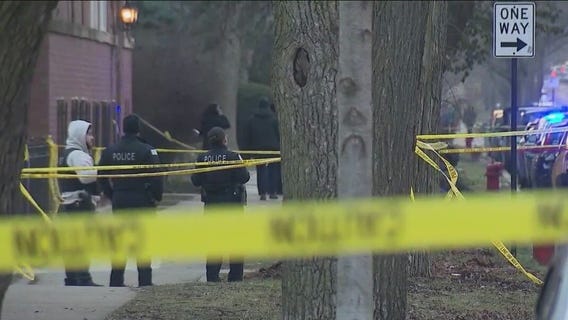 14-year-old, 17-year-old charged with murder in shooting near Senn High School: CPD