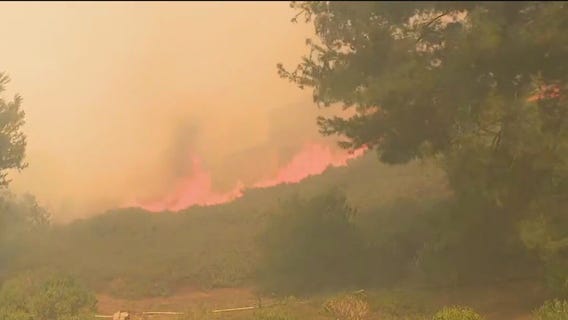 ?Hydroclimate whiplash? and LA wildfires