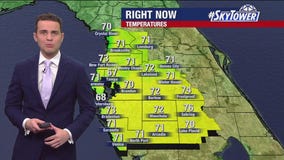 Tampa weather | Rain expected Sunday