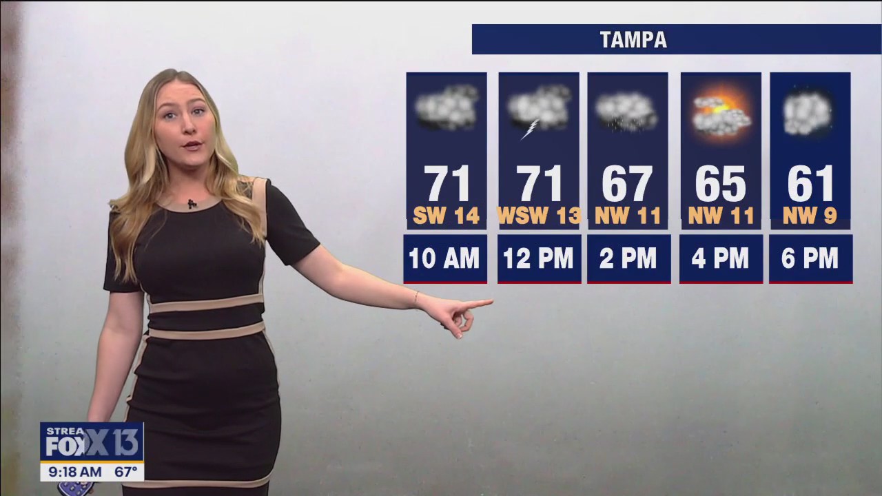 Tampa weather | Storms expected Sunday