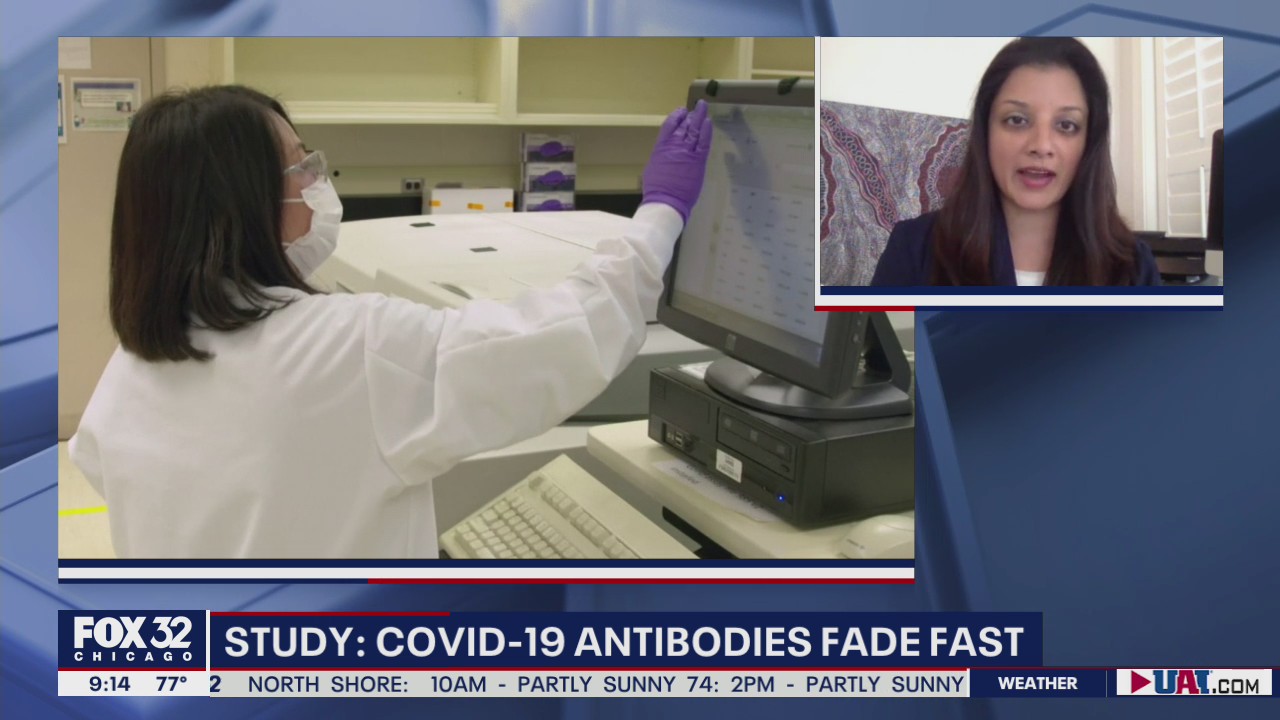 New study finds COVID-19 antibodies fade fast