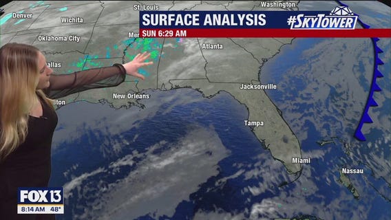 Tampa weather | Warmer temps and sunny