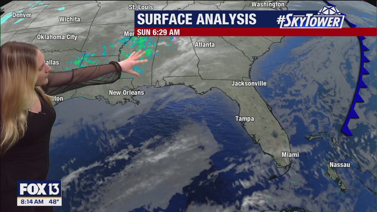 Tampa weather | Warmer temps and sunny