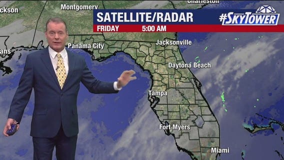 Tampa weather | Friday forecast