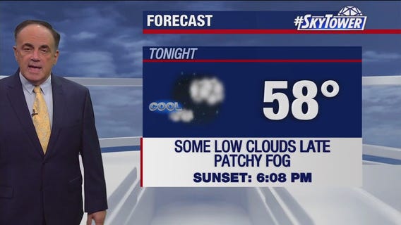 Tampa weather | Mild temperatures