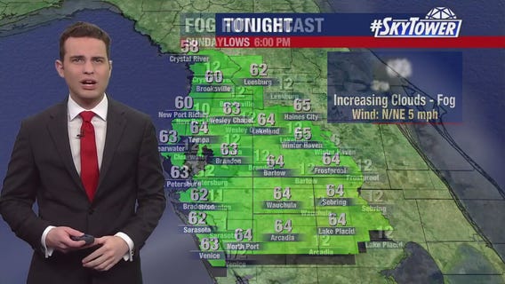 Tampa weather | Warmer weather and cloudy skies