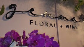 Charley's World | Gemma Floral & Wine