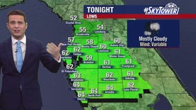 Tampa weather | clear skies and comfortable