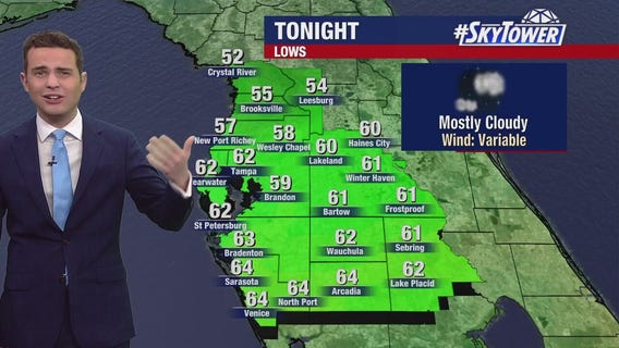 Tampa weather | clear skies and comfortable