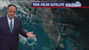 Tampa Weather | No cold air in sight