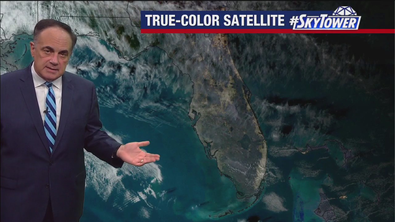 Tampa Weather | No cold air in sight
