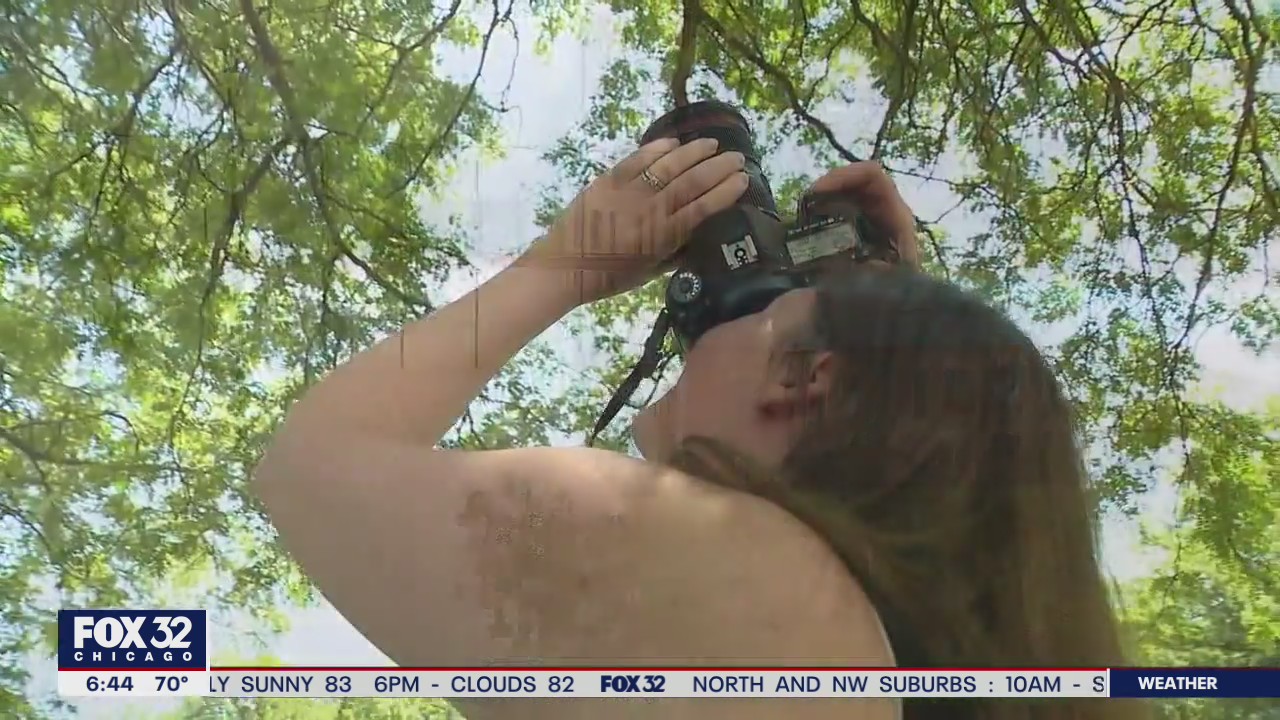 Virtual summer camp for young photographers