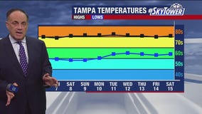 Tampa weather | Sunny conditions continue