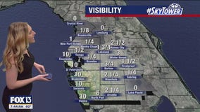 Tampa weather | Sunny and warm temperatures