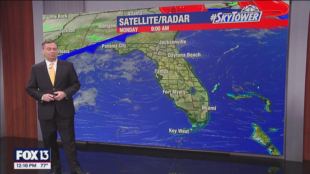 Tampa Weather | Warm week ahead