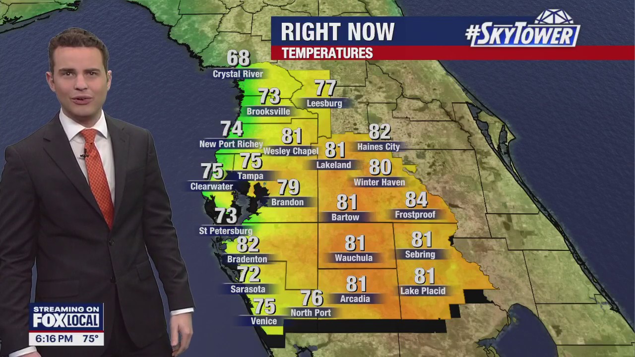 Tampa weather | Warm temperatures and sunny