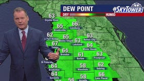 Tampa weather | Wednesday forecast