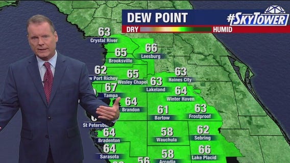 Tampa weather | Wednesday forecast
