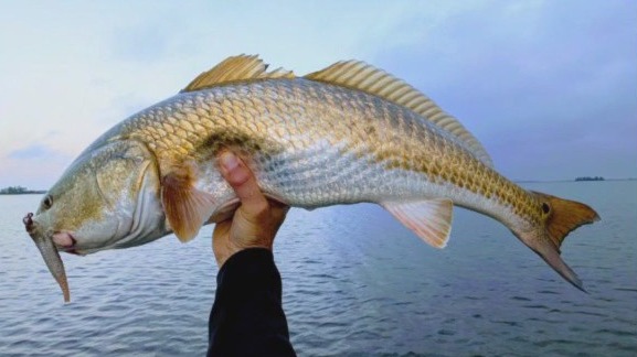 Friday fishing report: Feb. 14, 2025