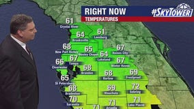 Tampa weather | Plenty of sun with seasonal temps