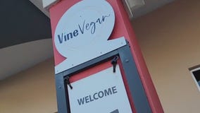 Charley's World | Vine Vegan