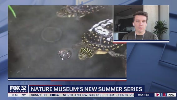 Peggy Notebaert Nature Museum rolls out new summer series