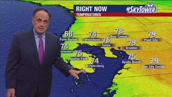 Tampa weather | Cloudy conditions, light winds