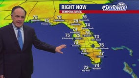 Tampa weather | Warm and sunny conditions