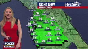 Tampa weather | Sunny conditions on Sunday