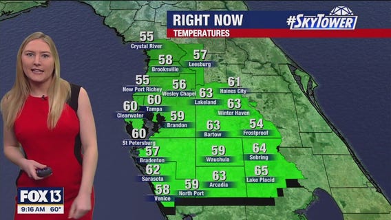 Tampa weather | Sunny conditions on Sunday