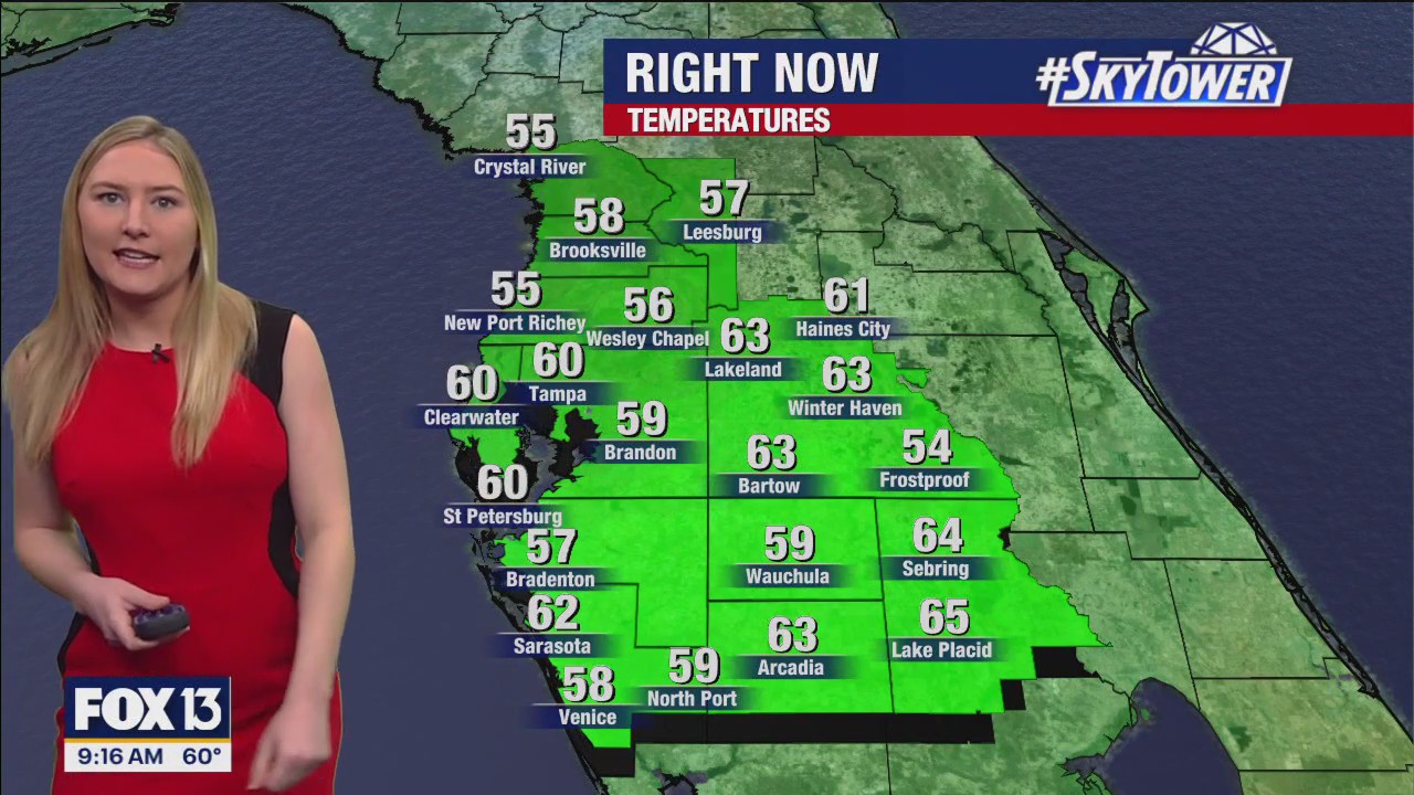 Tampa weather | Sunny conditions on Sunday