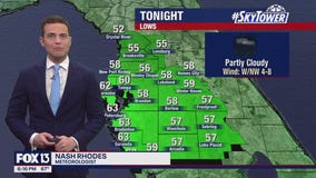 Tampa weather | comfortable temps Saturday night