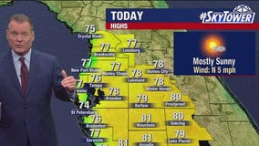 Tampa weather | Friday forecast