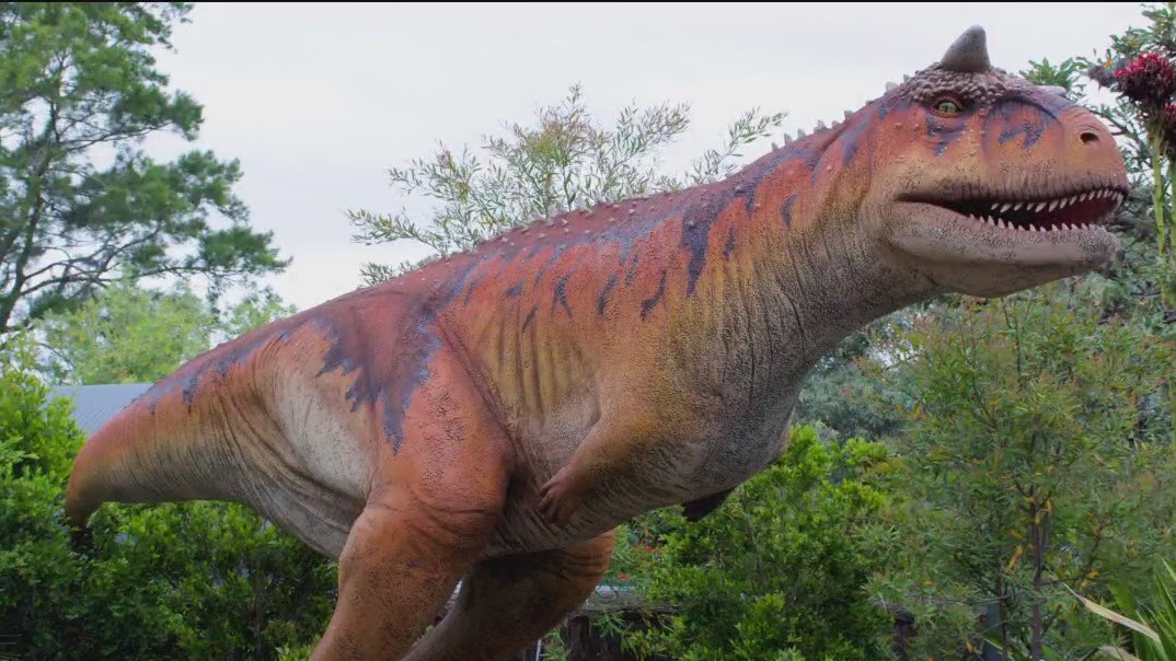 Dinos unearthed at ZooTampa | FOX 13 Tampa Bay