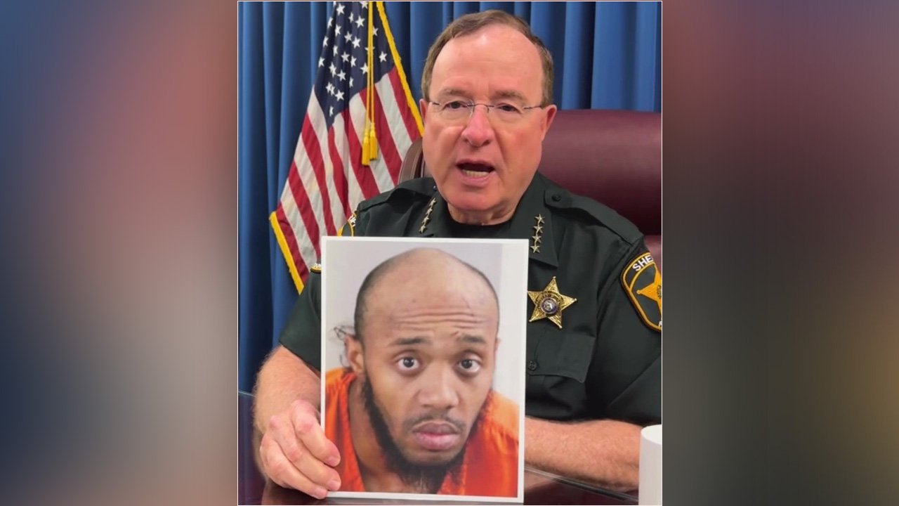 Grady Judd describes K9 capture of wanted man | FOX 13 Tampa Bay