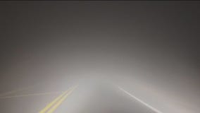 Using fog as a vital water source