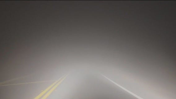 Using fog as a vital water source