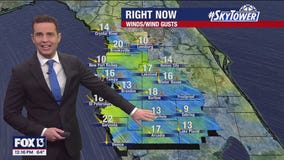 Tampa Weather | Up and down temps continue