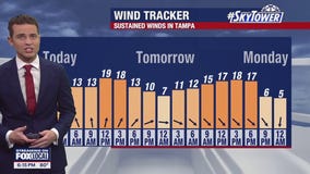 Tampa weather | High wind speeds expected Sunday