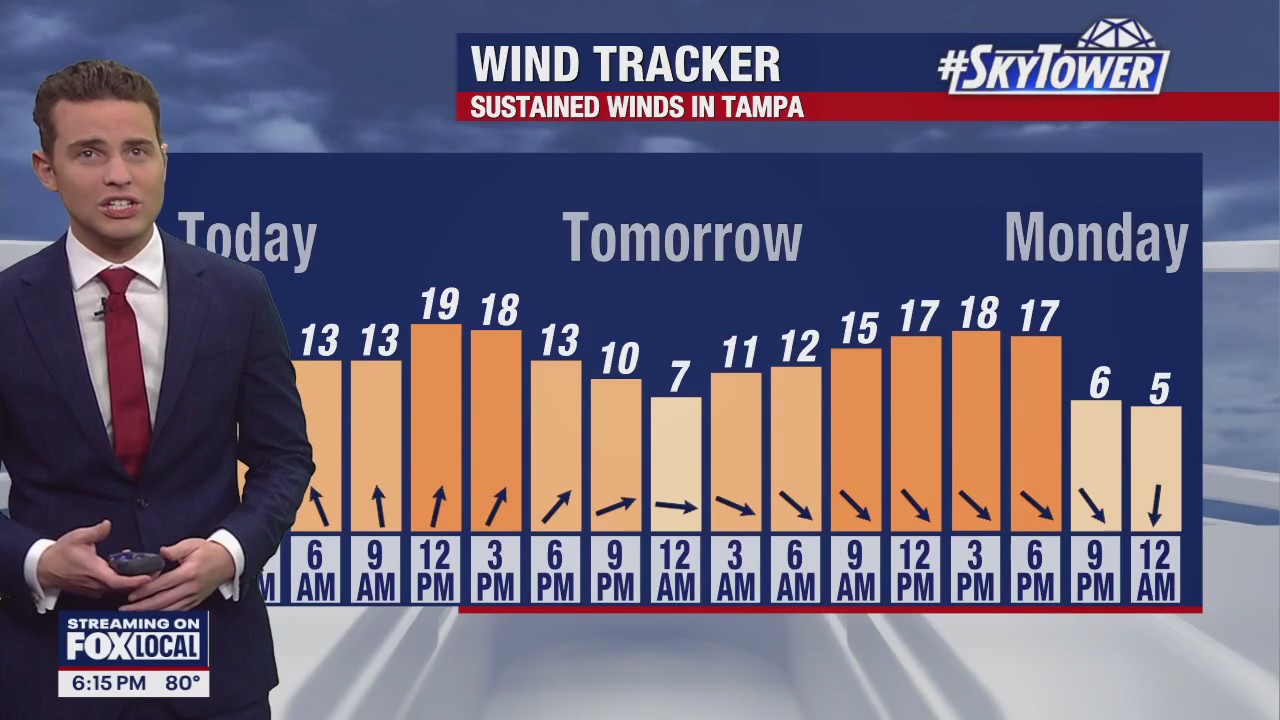 Tampa weather | High wind speeds expected Sunday