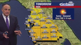 Tampa weather | High wind gusts and sunny