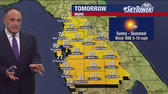 Tampa weather | High wind gusts and sunny